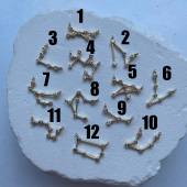 Коннектор "Зодиакальное созвездие" с циркониями