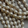 Жемчуг "Бочонок" 10-15 мм